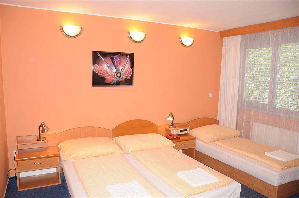 Hotel Panon Hodonín エクステリア 写真